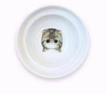 Elevated Cat Bowl Stand