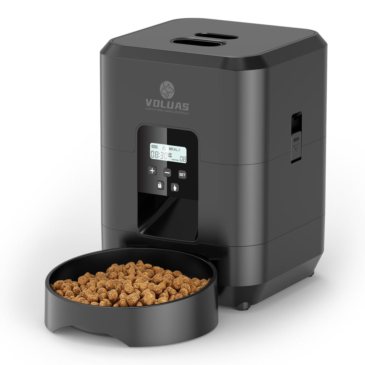 Smart Automatic Pet Feeder